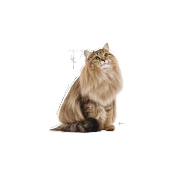 Hairball Care Gravy 85g - Image 4