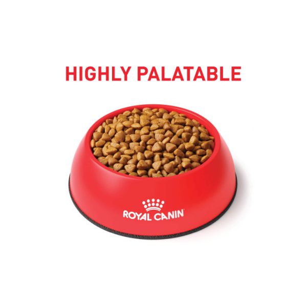 Gastrointestinal Adult Dry Cat Food 2kg - Image 4