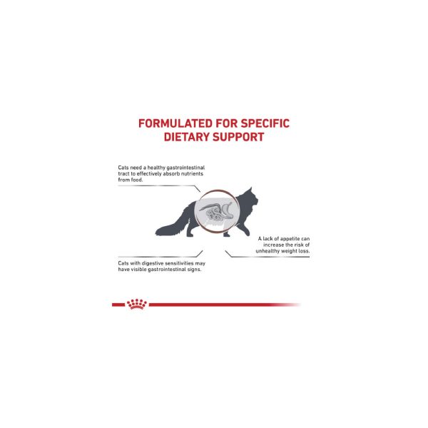 Gastrointestinal Adult Dry Cat Food 2kg - Image 2